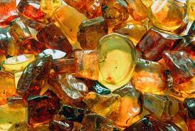 Polish amber discount