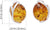 Sterling Silver and Baltic Honey Amber Stud Earrings