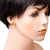 Sterling Silver and Baltic Honey Amber Stud Earrings