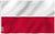 Poland Flag with and without Eagle *Ready to ship*