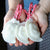 Pierogi Soap on a Rope-Babcia's Original