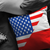 American Polish Pillow and Pillow Cover