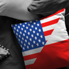 American Polish Pillow and Pillow Cover