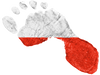 Polish Footprint Sticker