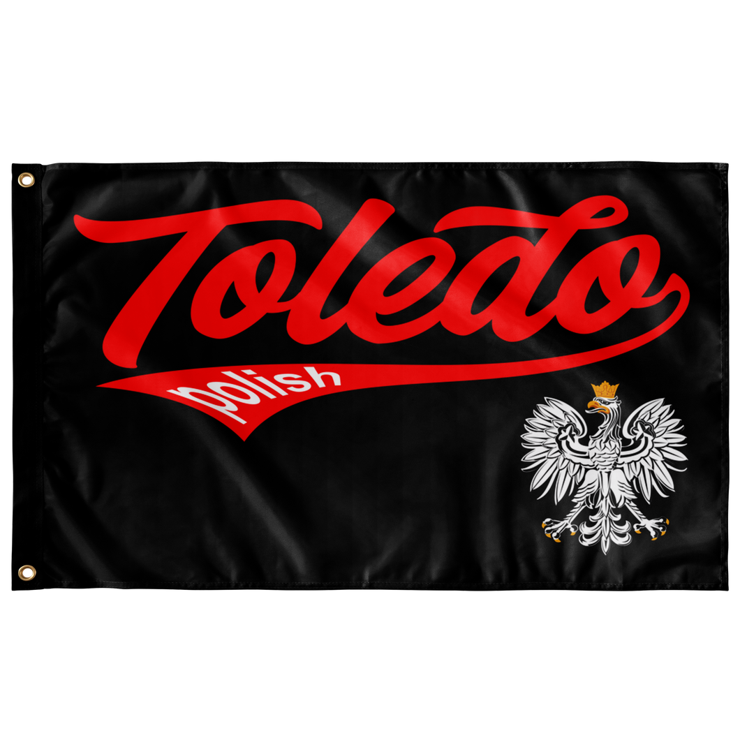 Toledo Polish Flag